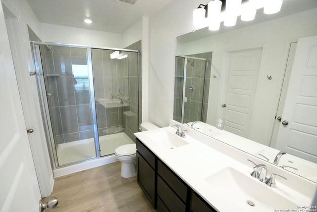 7746 canyon wren, San Antonio, TX 78253