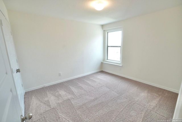 7746 canyon wren, San Antonio, TX 78253