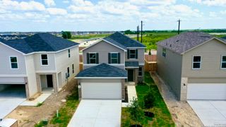 7746 canyon wren, San Antonio, TX 78253