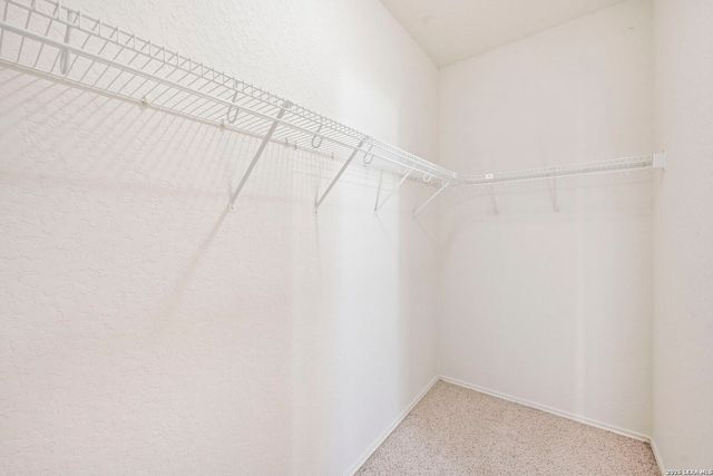 316 Sparrow, New Braunfels, TX 78130