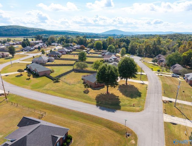 209 Steppe Court, Huntsville, AL 35811