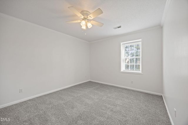 37 Barnes Street, Greenville, NC 27858