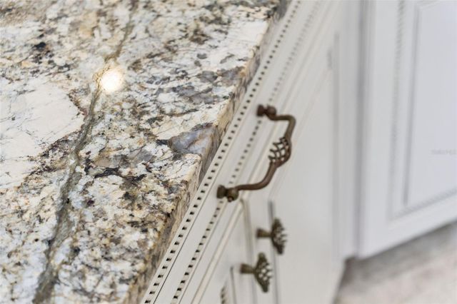 1017 JOHNS POINT DRIVE, Oakland, FL 34787