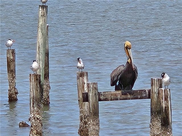 122 Ridge Harbor Dr, Rockport, TX 78382