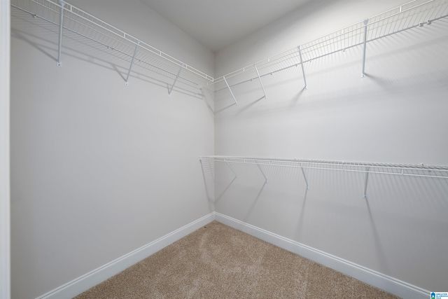 6625 LITTLE GOOSE DRIVE, Trussville, AL 35173