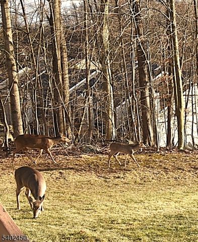 47 Edgefield Dr, Parsippany-troy Hills Twp., NJ 07950