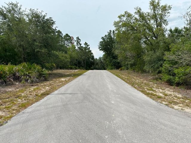 00 SOUTH HAVEN COURT, Dunnellon, FL 34431
