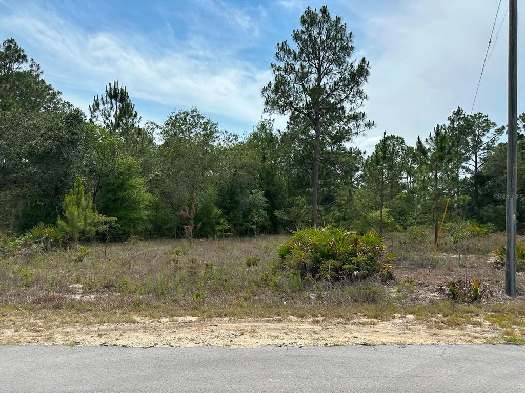 00 SOUTH HAVEN COURT, Dunnellon, FL 34431
