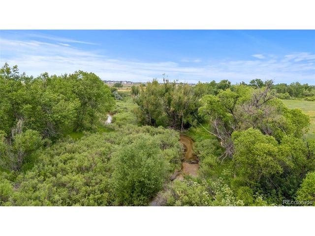 5909 Los Olivas Pt, Parker, CO 80134