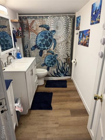 124 E 7th Street, Roxana, IL 62084