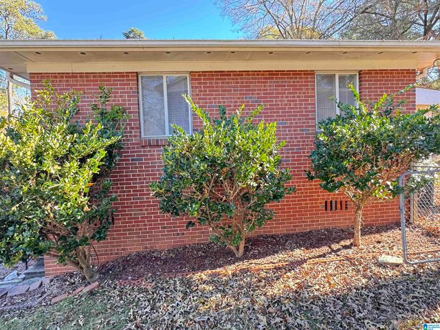 1113 LITTLE JOHN LANE, Birmingham, AL 35235