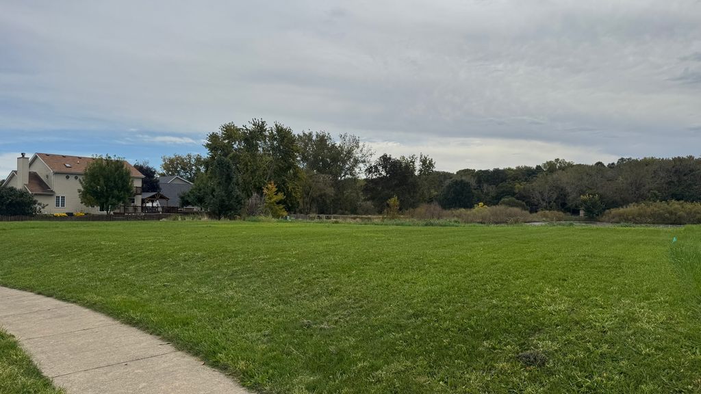 915 Brassfield Avenue, Romeoville, IL 60446 — photo 3