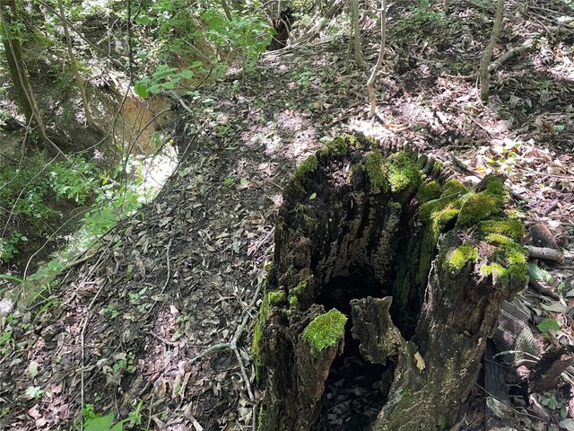 Tract 1, Key Road, Sherman, TX 75090