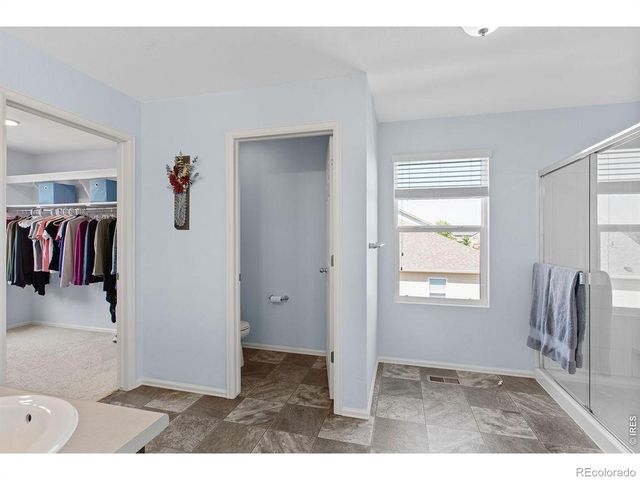 6792 Covenant Court, Timnath, CO 80547