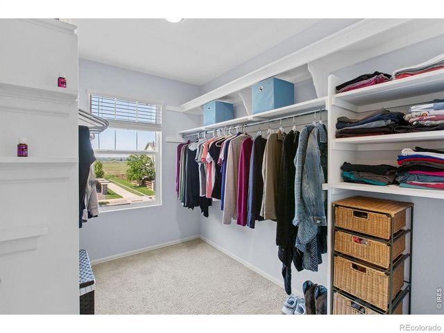 6792 Covenant Court, Timnath, CO 80547