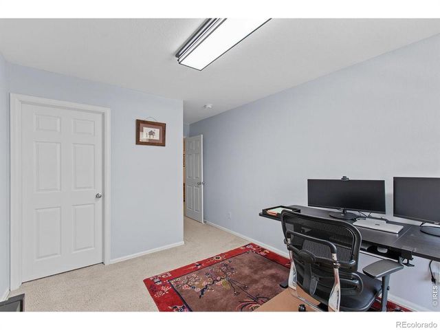 6792 Covenant Court, Timnath, CO 80547