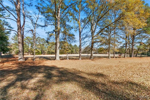 5500 Flatwoods, Northport, AL 35473