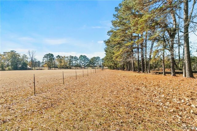 5500 Flatwoods, Northport, AL 35473
