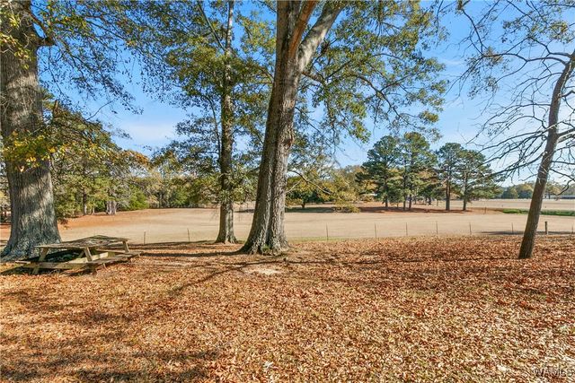 5500 Flatwoods, Northport, AL 35473