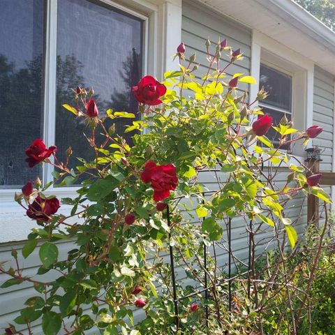 1934 Nazareth Road, Kalamazoo, MI 49048