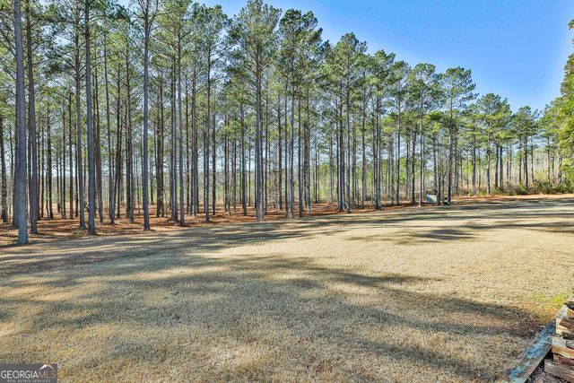 2161 Bear Creek Road, Moreland, GA 30259