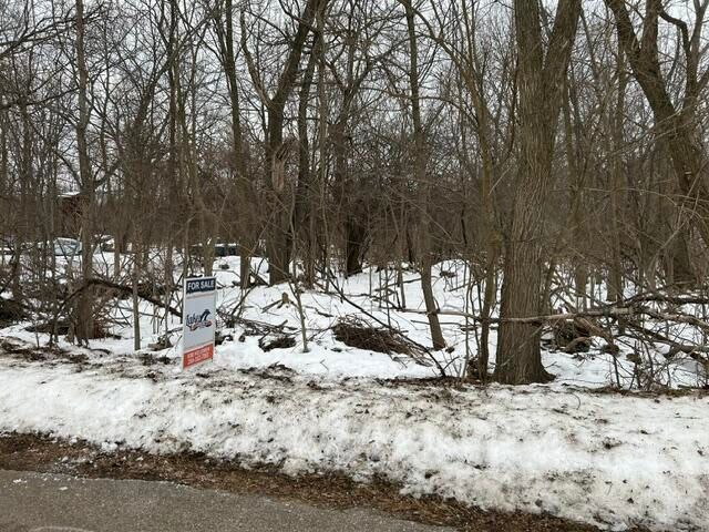 250 N 16th Street, Springfield, MI 49037