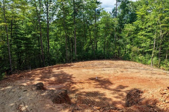 Lot 1 Rock Creek, Cherry Log, GA 30522