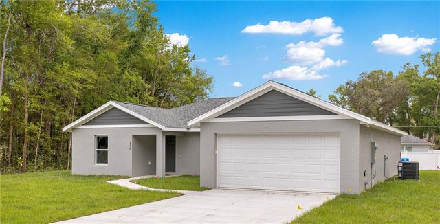 13 FISHER RUN TERRACE, Ocklawaha, FL 32179