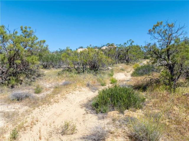 24 Ruben, Aguanga, CA 92536