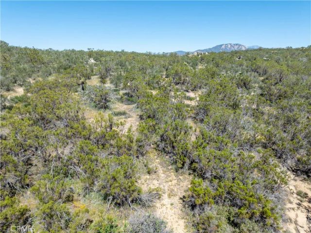 24 Ruben, Aguanga, CA 92536