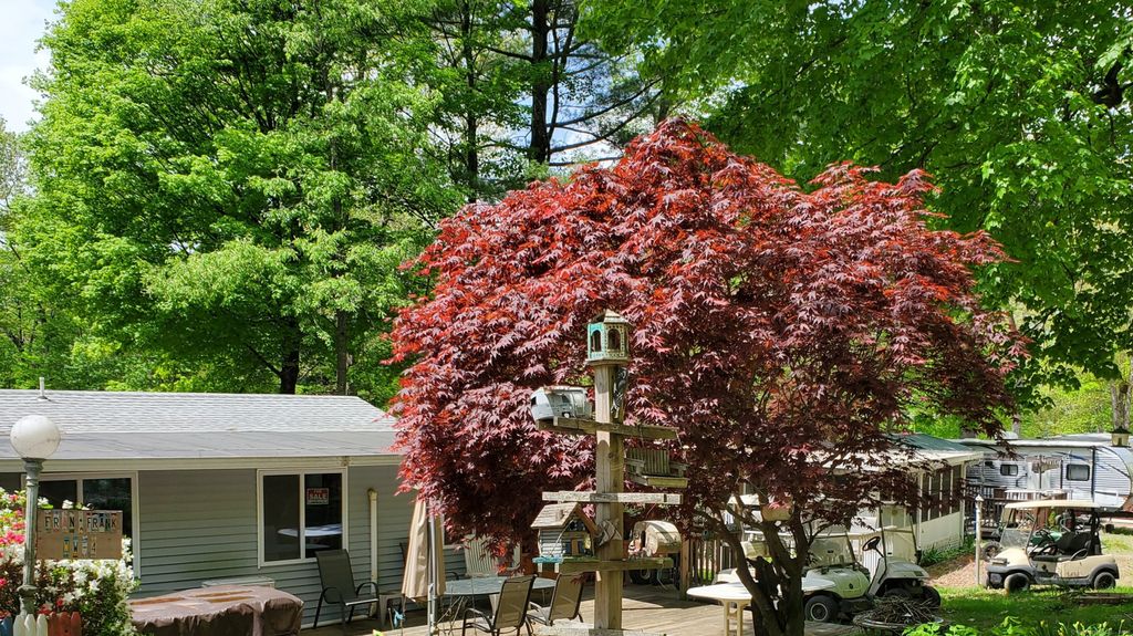 8 South Road WW4, Stafford, CT 06076