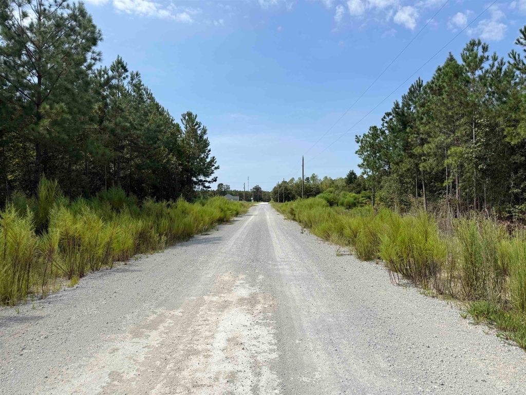 Lot 10 Ellwood Rd., Galivants Ferry, SC 29544 — photo 2