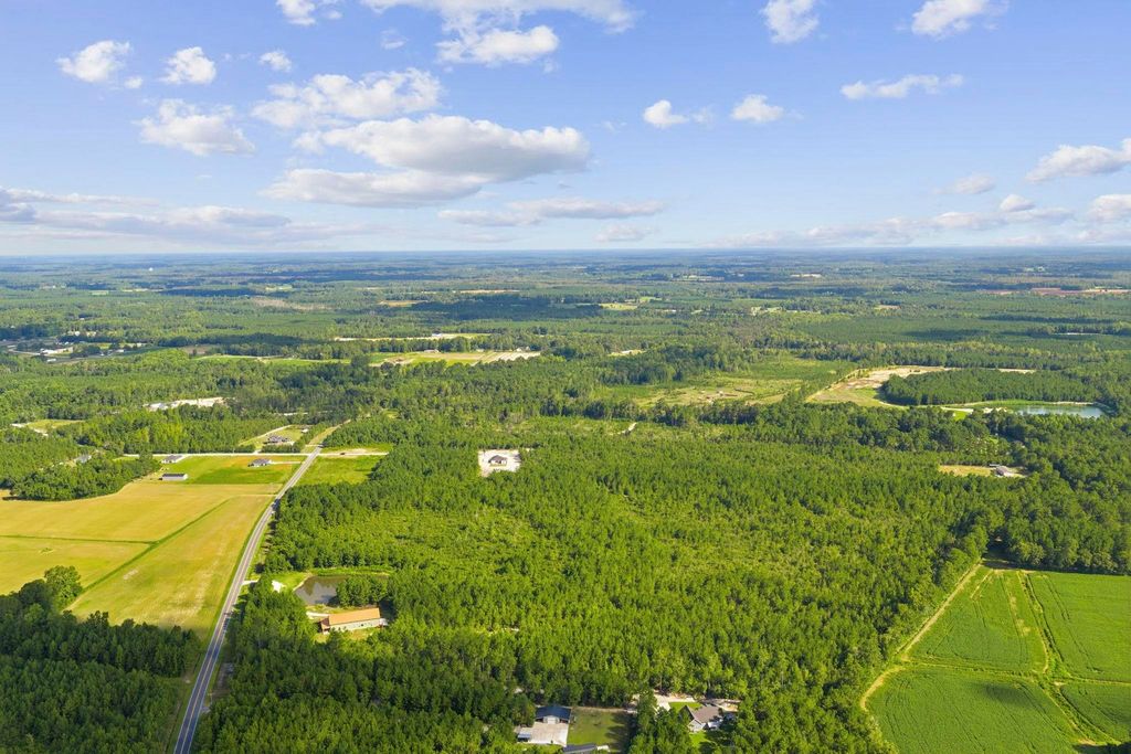 Lot 10 Ellwood Rd., Galivants Ferry, SC 29544 — photo 3