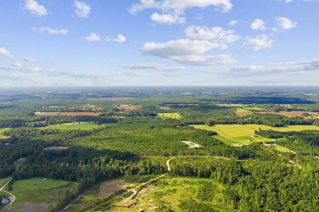 Lot 10 Ellwood Rd., Galivants Ferry, SC 29544 — photo 4
