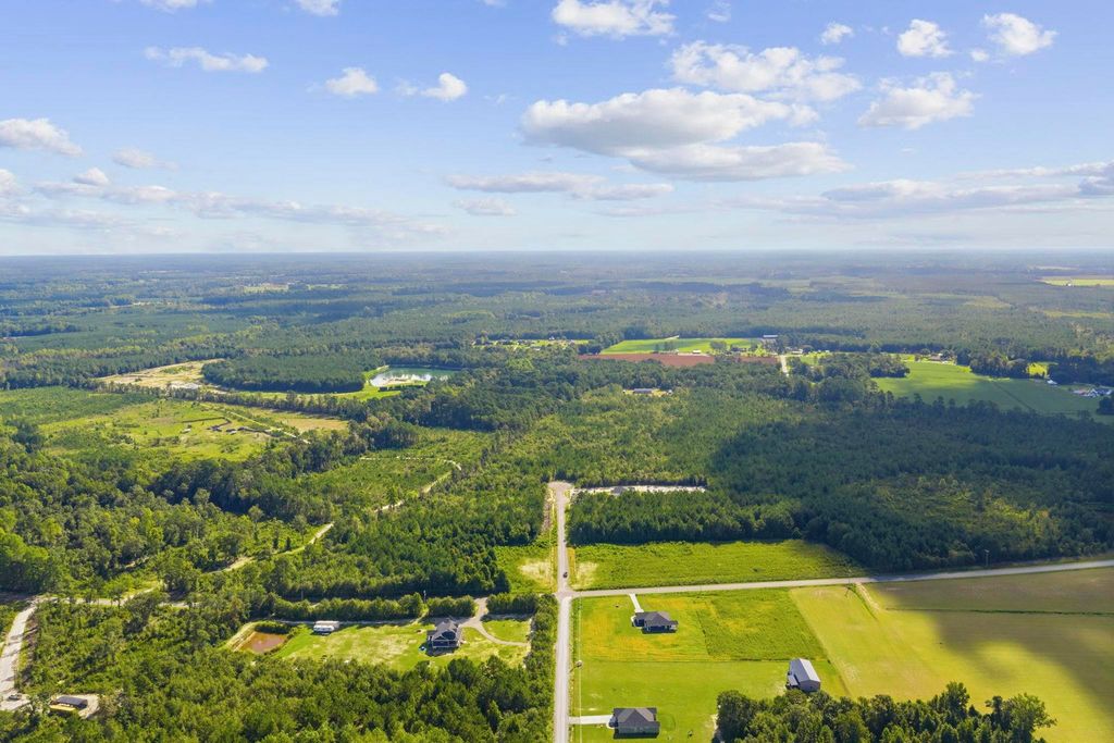 Lot 10 Ellwood Rd., Galivants Ferry, SC 29544 — photo 5