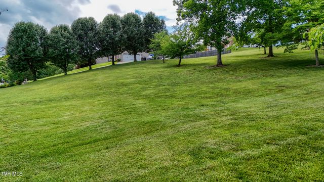 243 Southridge Drive, Blountville, TN 37617