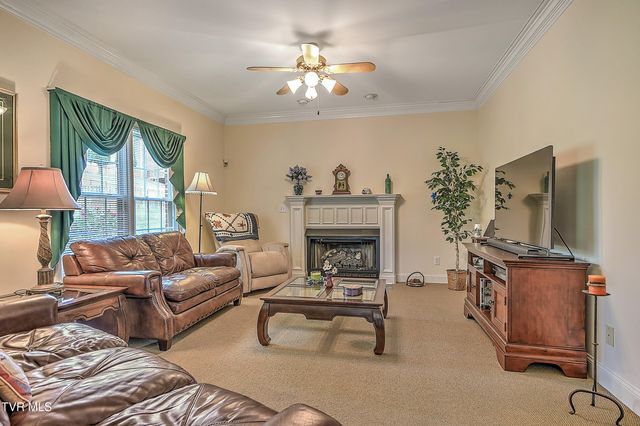 243 Southridge Drive, Blountville, TN 37617