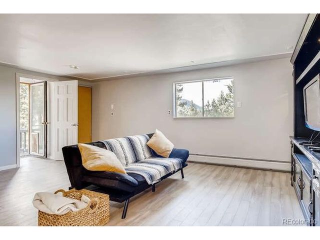 10148 S Turkey Creek Rd, Morrison, CO 80465