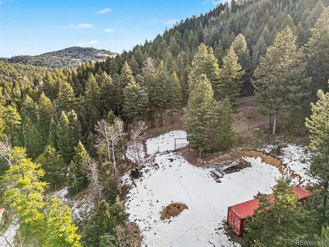 10148 S Turkey Creek Rd, Morrison, CO 80465