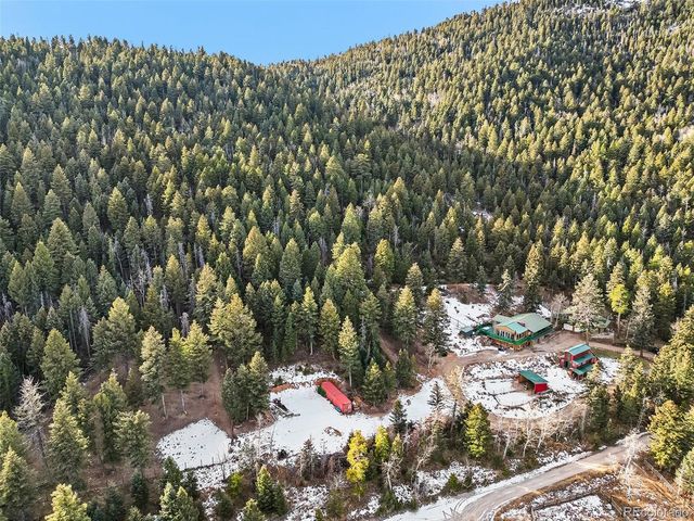 10148 S Turkey Creek Rd, Morrison, CO 80465