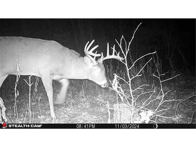 1395 US Highway 8, Amery, WI 54001