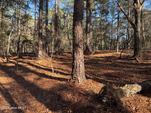 125 Millstone Court, West End, NC 27376