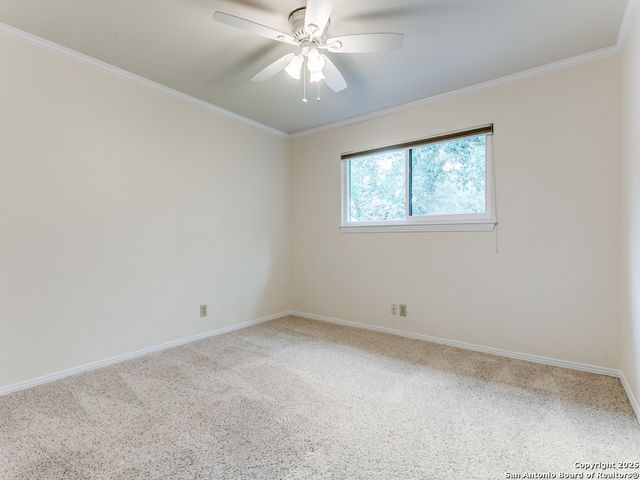 13907 Bluffmont, San Antonio, TX 78216
