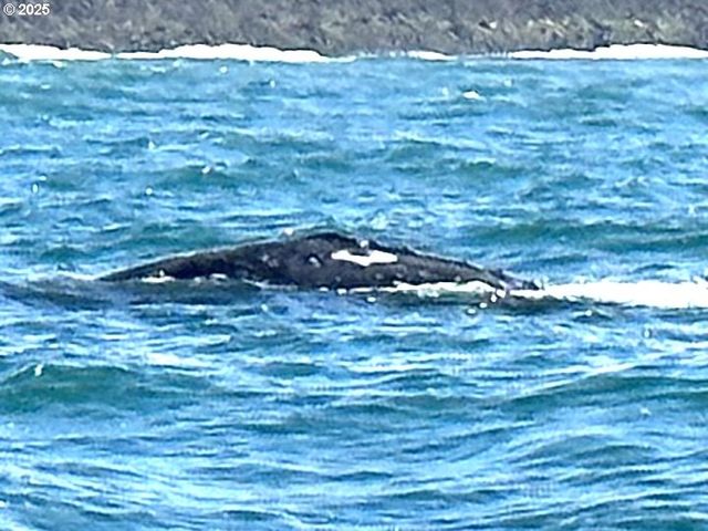 4875 N Highway 101, Depoe Bay, OR 97341