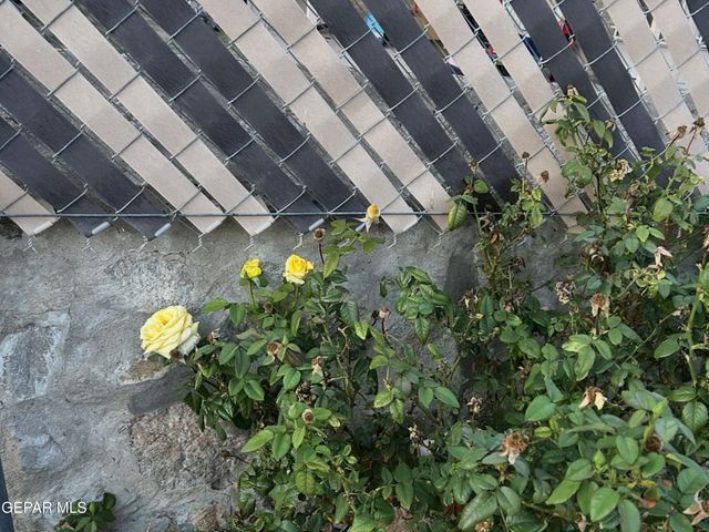 4733 GABRIEL Drive, El Paso, TX 79924