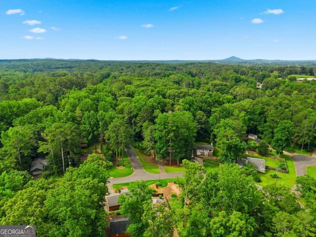 4738 Jamerson Forest Circle, Marietta, GA 30066