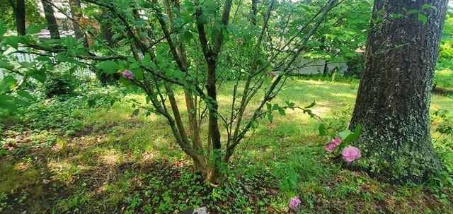 75 Woodruff Rd, Clinton, MA 01510