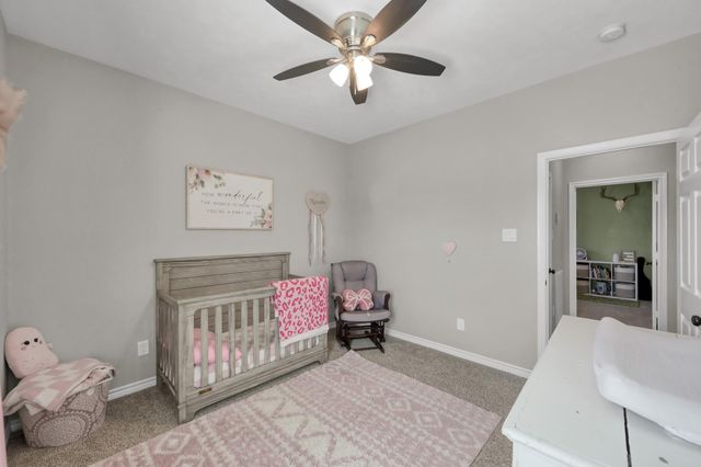 12426 Hackberry Drive, Willis, TX 77318