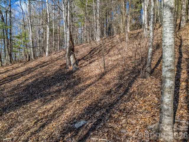 171 Justamere Lane, Hendersonville, NC 28739