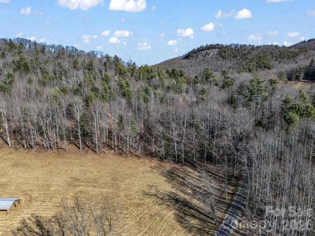 171 Justamere Lane, Hendersonville, NC 28739